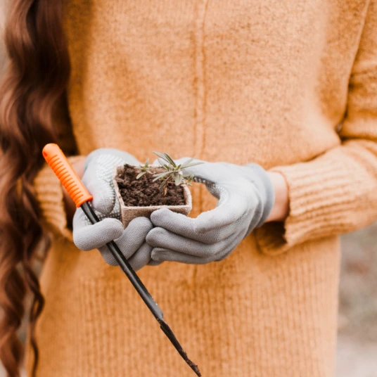 Pessoa segurando muda de planta e ferramenta de jardinagem representando manejo do solo e fertilidade agrícola